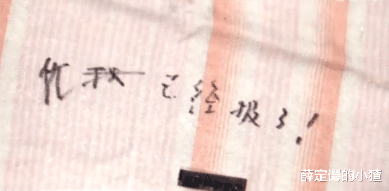 潜逃20年,“漂白身份”继续作案,坐牢13年出狱后,他又再次失踪