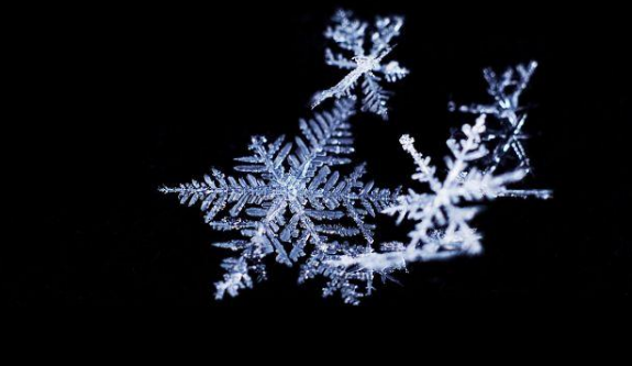 恐龙 恐龙血细胞，6个在冰下发现的神秘物品，轻松改变你三观！