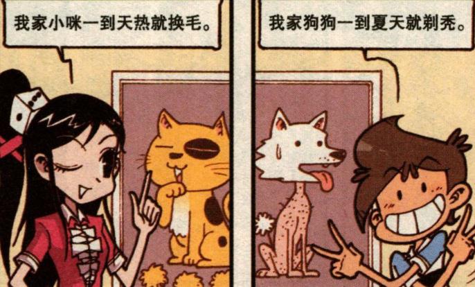 阿星|街头“美女云集”，奋豆“如履春风”，阿星：你眼中只有美女吗？