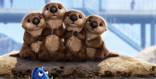 北斗导航 松鼠有“失忆症”?15个关于动物的冷知识,真实存在且很有趣!