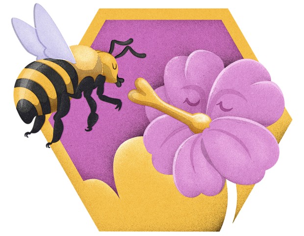 蜜蜂 蜜蜂是怎么酿蜜的？