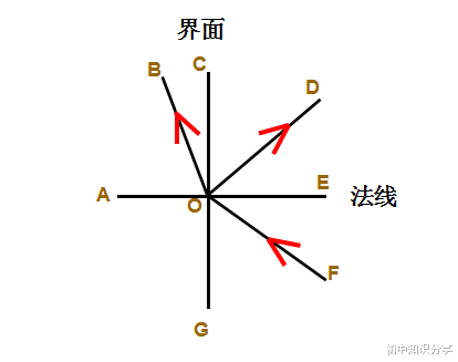  光的折射易错点【初二物理上】