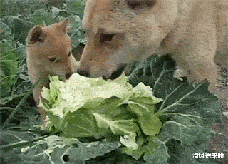 消防员|带女朋友出来钓鱼，但我根本不能集中精神，哈哈哈哈哈估计今天一无所获