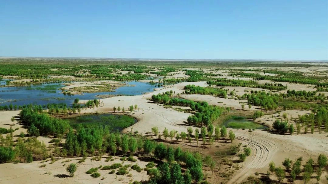 全球变暖 沙漠发洪水！气候变暖导致的“超脱现象”，人类可以做些什么？