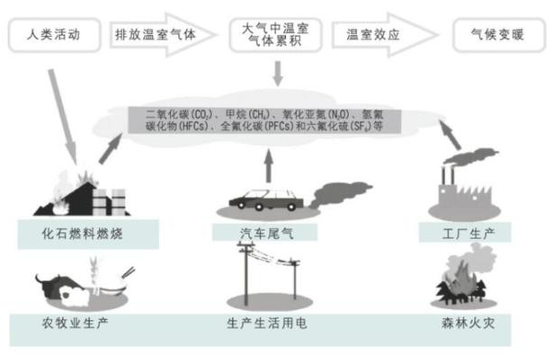 全球变暖 极端气候年年有，今年表现更“疯狂”，是什么导致全球变暖的？