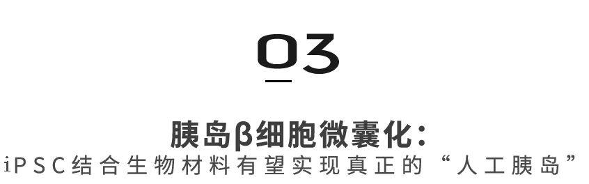 干细胞在糖尿病领域展望:MSCs到iPSCs,再生医学的自我颠覆之路
