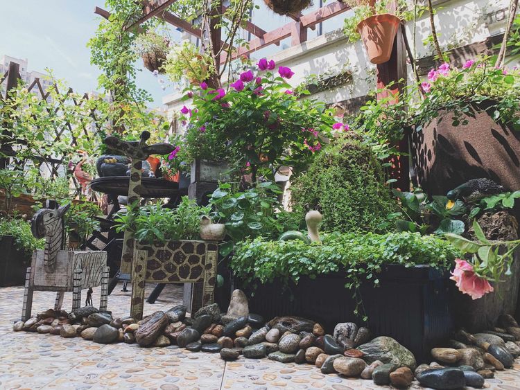 古镇 我的54㎡露台花园,一个可在花丛中漫步的地方,舒适宜人美不胜收