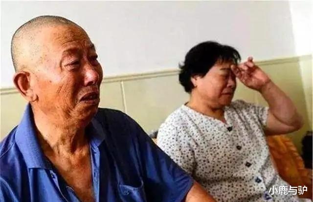 小鹿与驴 60岁阿姨：老人有了婚外的感情，虽然很有激情，但是最终结果很惨