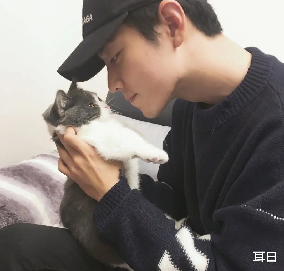 肖战|肖战！四听《竹石》，天下谁人不识君，你听到了吗？早已热泪盈眶