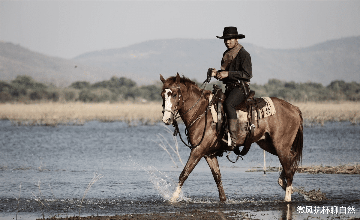 微风执杯聊自然|因为学狼叫黑犬被驱逐,主人夜晚骑马被狼群围住,蒙冤黑犬救了他