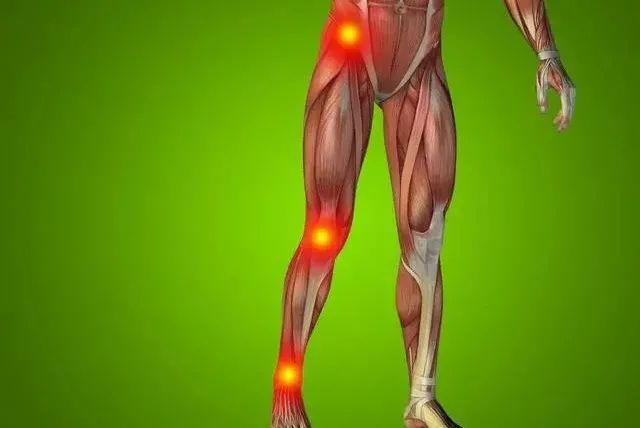 健脾|站一站，竟是最好锻炼法！每天5分钟，28天收获8大神奇变化！