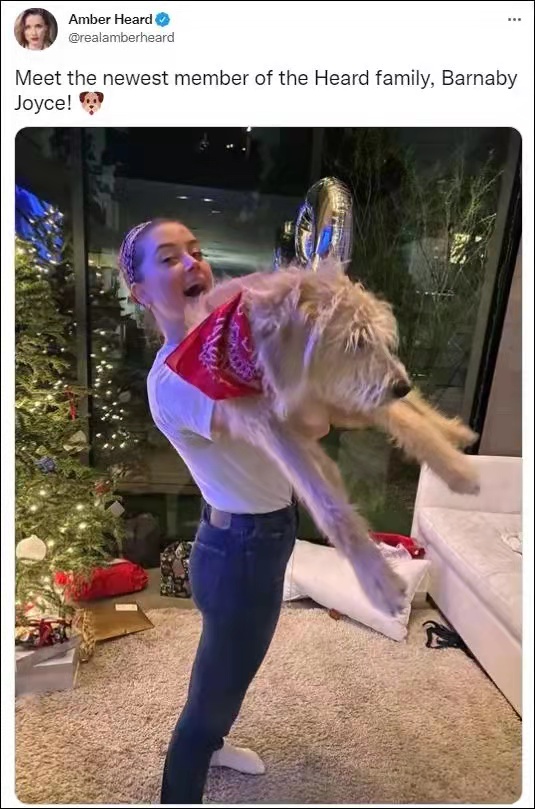 |《海王》女主、德普前妻艾梅伯翻旧账