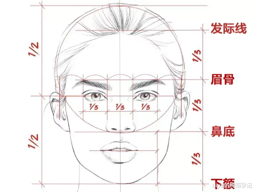 Liya的种草手记|我国女生平均长相出炉！你达标了吗？
