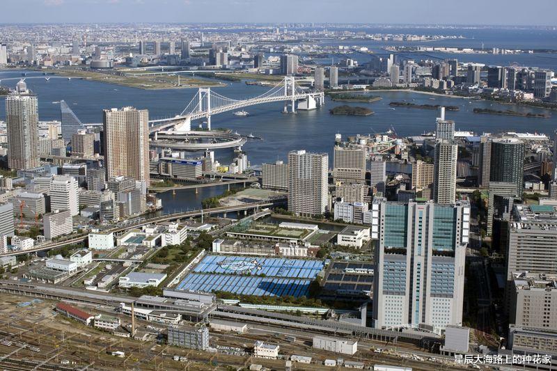 一個個拔下蟲子，好恐怖！東京灣糞水：日本人的地還洗得幹凈嗎？-圖9