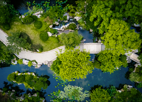 房产|“网红盘”频遭过激维权 呼吁业主“诉求合理化”