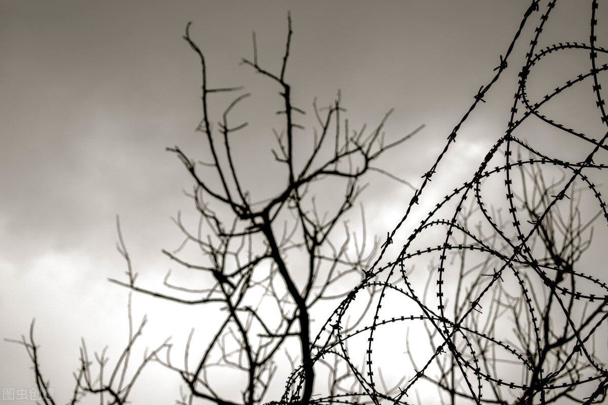 晨起朝露 南大碎尸案25年未破，家属已起诉学校