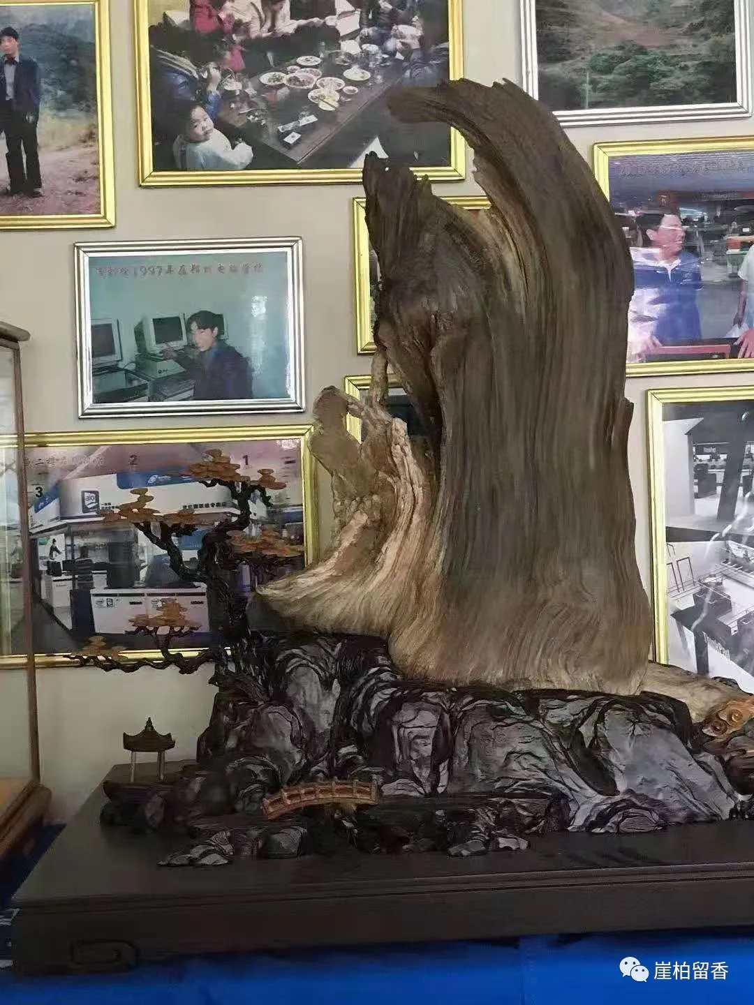 银元|新手购买崖柏的几个坑你入过几个呢？