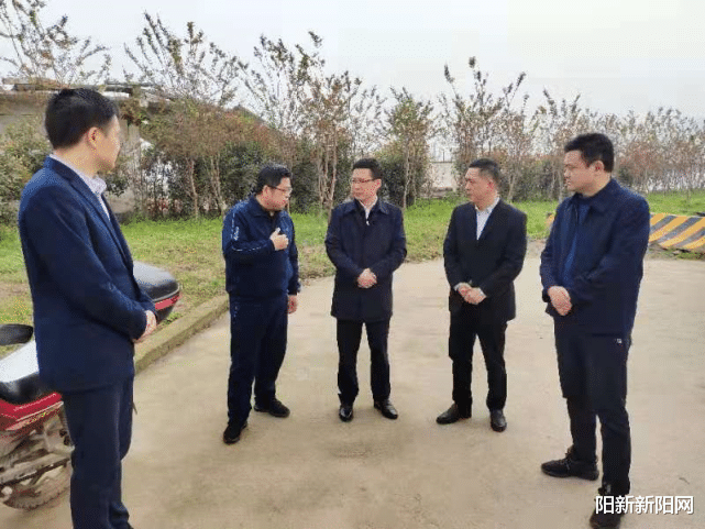 阳新新阳网 王建华督办203省道改建工程、巡查长江阳新段