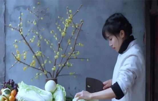 盛夜霄的星座解说 彻底“撕破脸”了，“最惨打工人”的李子柒，刚刚出手反击资本