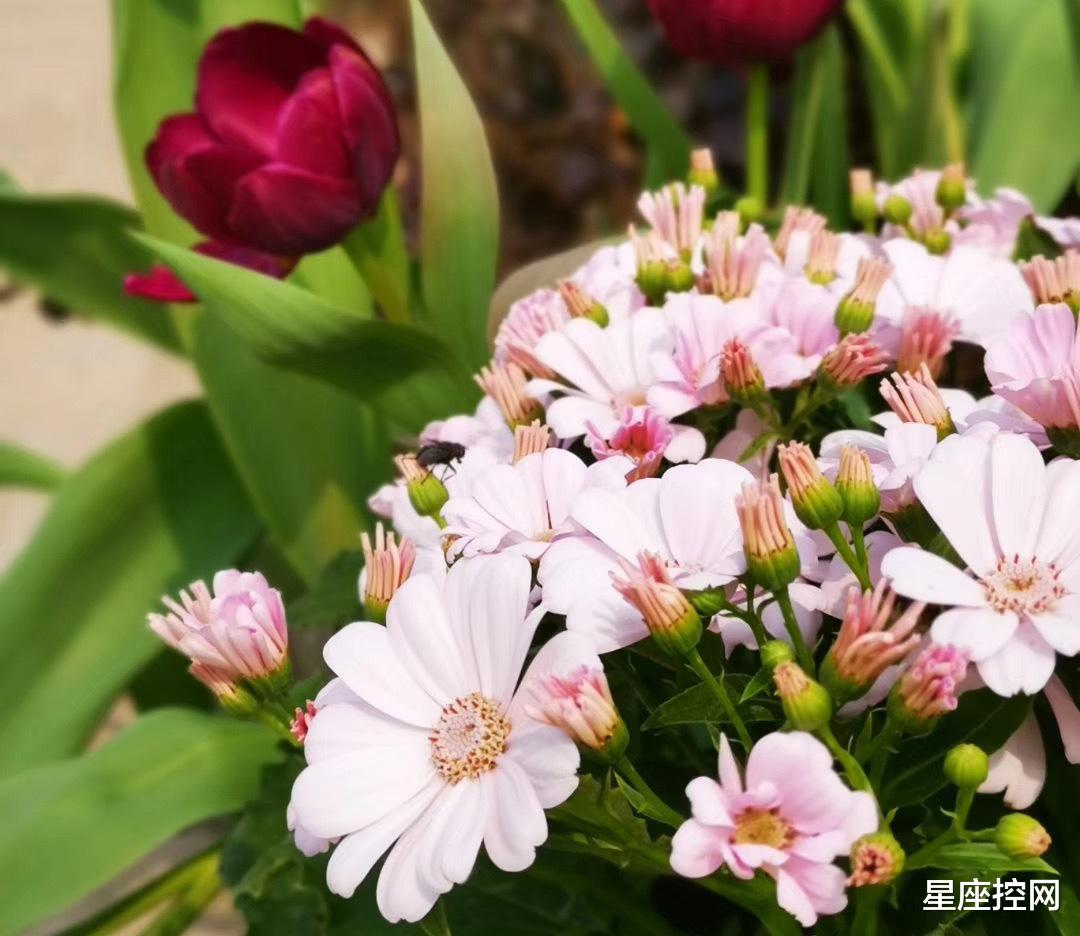 |出生在啥月份，行事光明磊落，德高望重，一出手就有机会，旺福