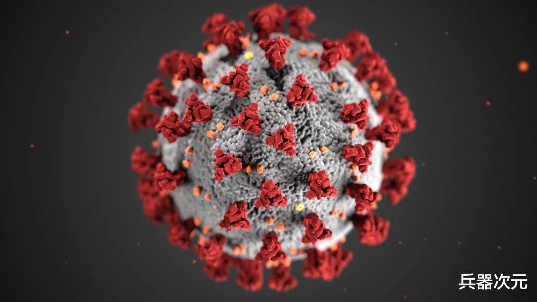 真相大白！科學傢證實新冠病毒早已存在，2019年就開始在歐洲傳播-圖2