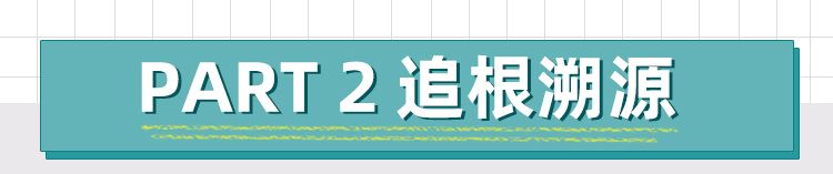 MINI迷你绿植控必备的桌面植物