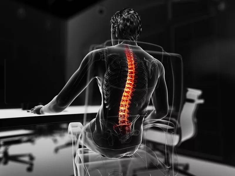  干细胞及其外泌体治疗椎间盘退变的研究进展前景