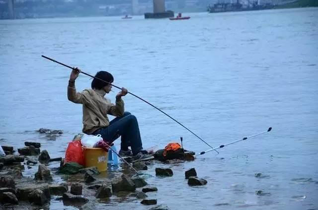 饵料|到了陌生的水域，学会了这三步，一半的渔获就没跑了
