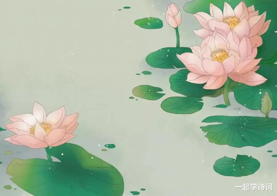  杨果     小桃红    采莲女（二）