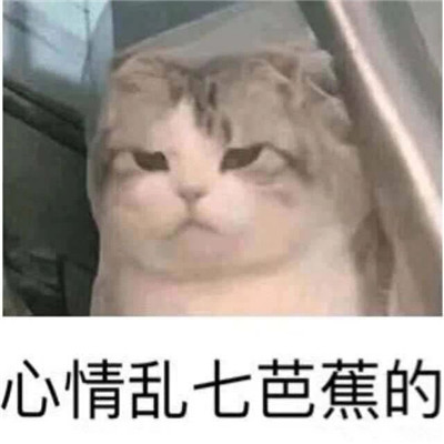 桉月|表情包：心情乱七芭蕉的