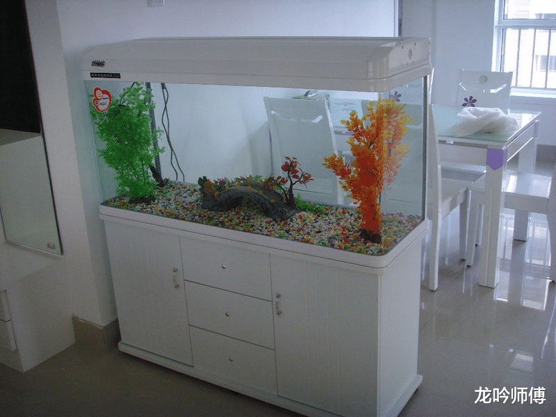 家里想摆鱼缸，应该如何放置？要注意哪些禁忌