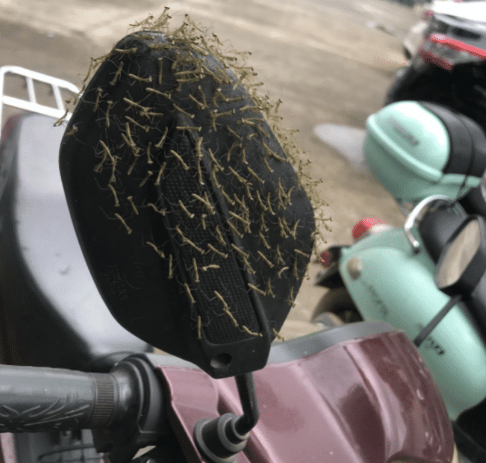  “家里安排的相亲对象，小姐姐说她32岁了！”网友：你确定满18岁了？哈哈哈哈