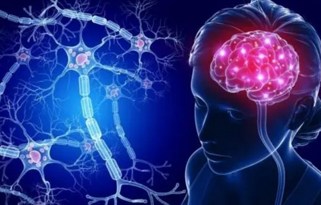 阿尔茨海默病|引发老年痴呆症的元凶是什么？跟这些生活习惯有关！