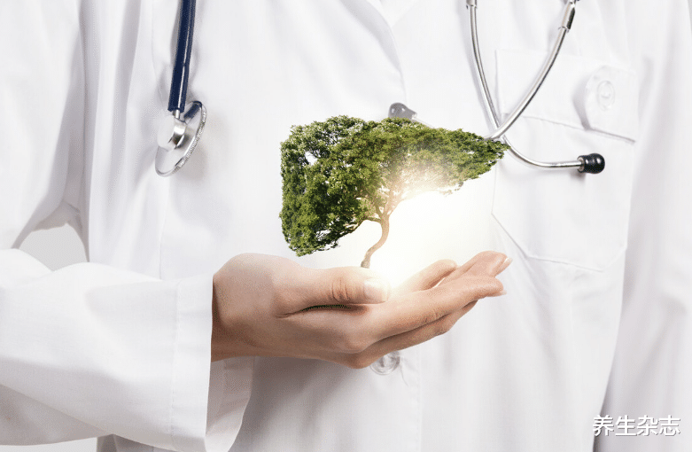 养生杂志|这3种异常,是肝脏在警报!常用这一花朵泡水喝,养肝护肝助排毒