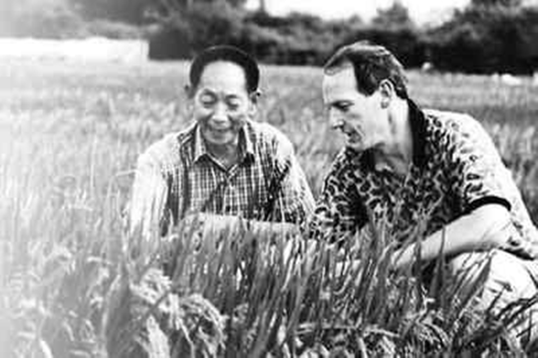 路之意 “超级巨星”陨落！梦想在田野中实现——致敬袁老，精神永在！