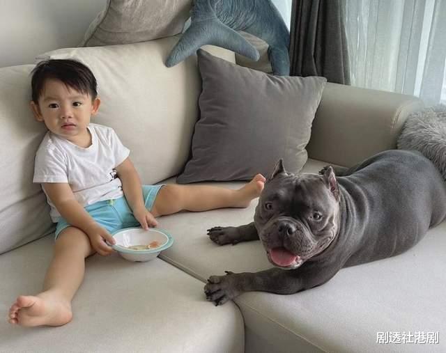 二胎|TVB前著名花旦千万豪宅曝光，再婚嫁小8岁鲜肉男神，怀二胎近半年