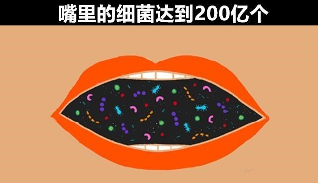 化石 冷知识普及：9个生活中的有趣事实，即便“真学霸”都未必知晓