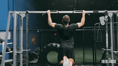 增肌减脂|几个理由告诉你:健身为什么要加入力量训练?