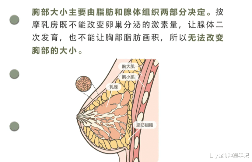Liya的种草手记|男生到底有多喜欢大胸?