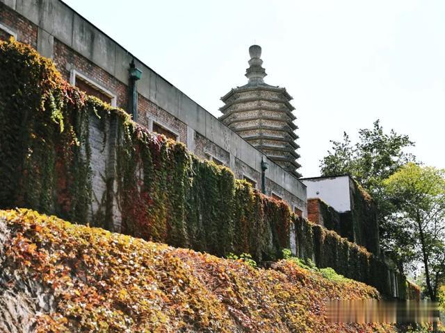 北京吃货小分队 北京新晋网红打卡地，你都去过了吗