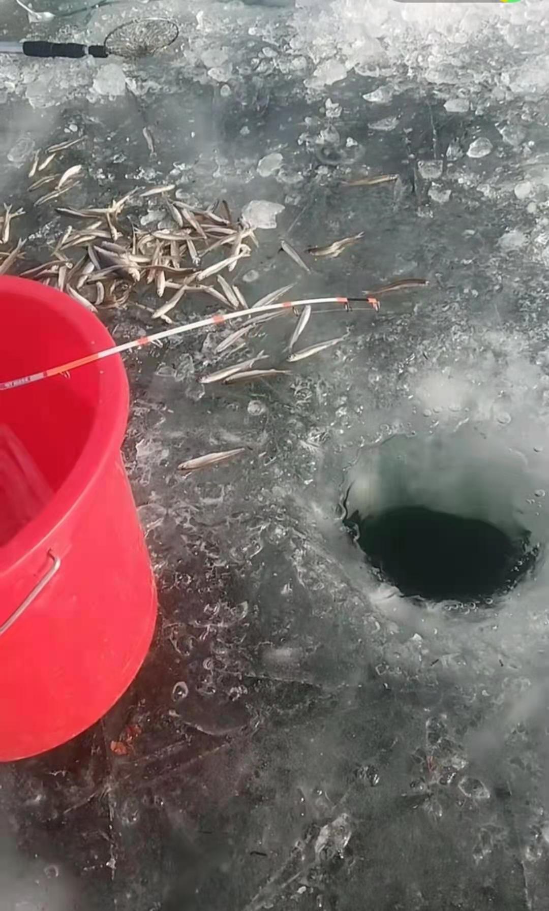 |提拉捧逗，这些技巧你都运用到了么