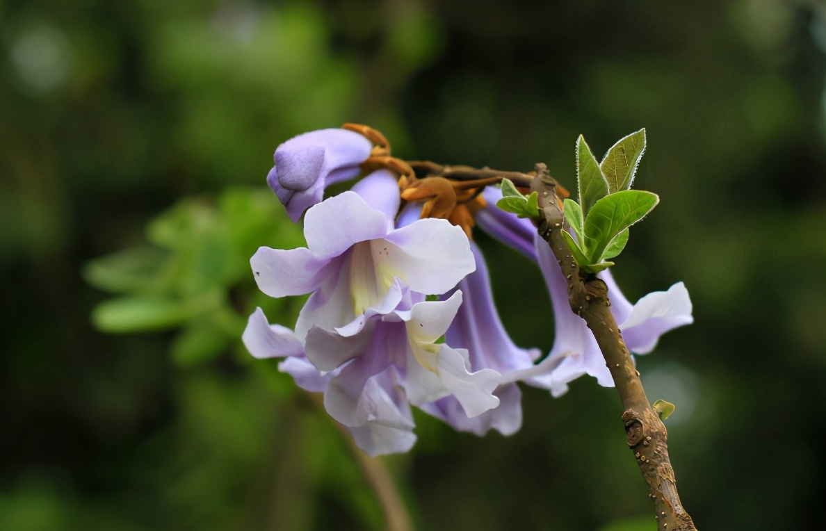 布衣粗食|人老了，能否安度晚年，藏在“细节”里