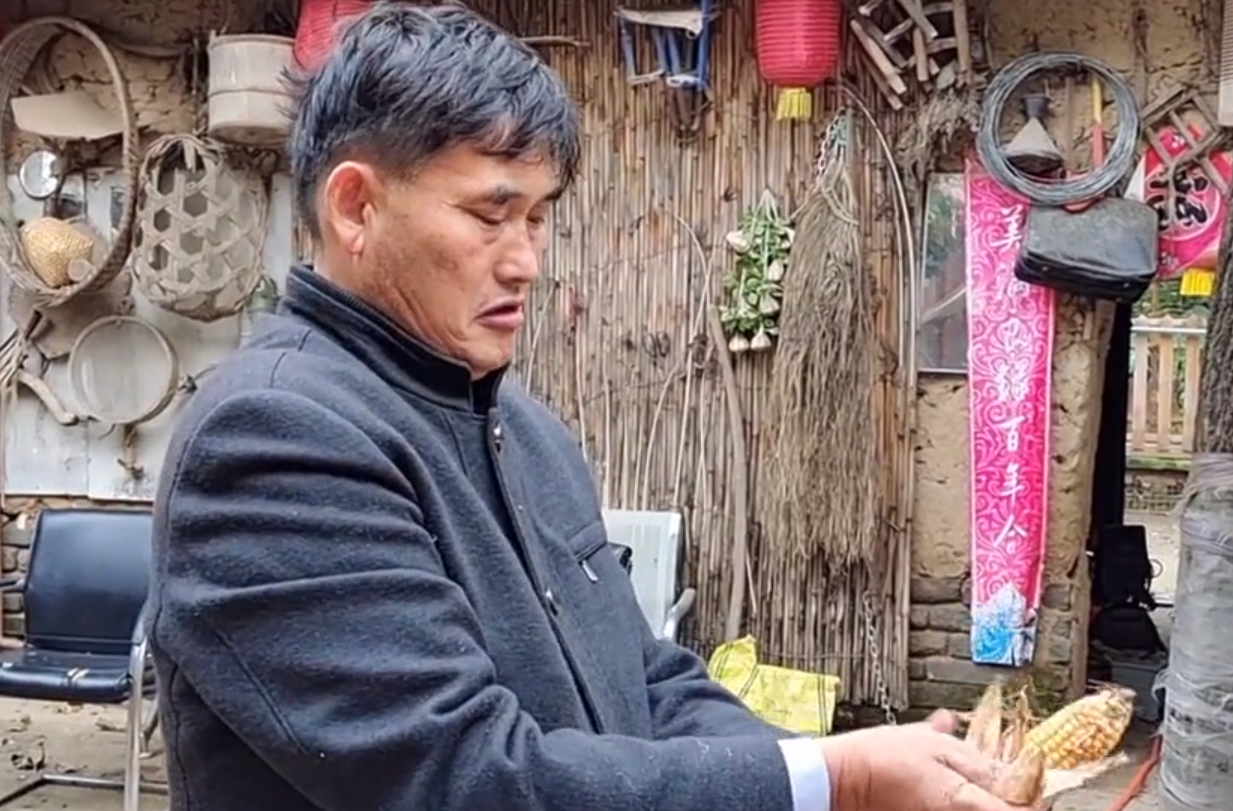 陈亚男|陈亚男归还百万彩礼，我看到了城里人和农村人格局上的差距！