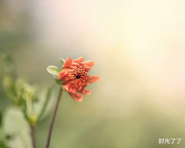 时光了了|中年人的生活潜规则:降低期待