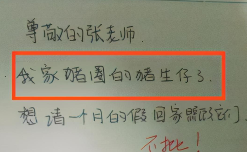 请假条|学生请假条走红网络，网友捧腹大笑，辅导员表示现在的学生真难带