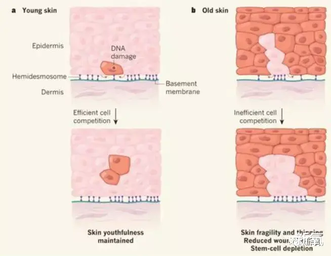 李小冉|内娱白皮天花板，用脸做光源的她没人不服吧？
