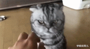 学姐说育儿|“华为1996年的招聘广告，大家自己感受一下！”哈哈哈哈哈！