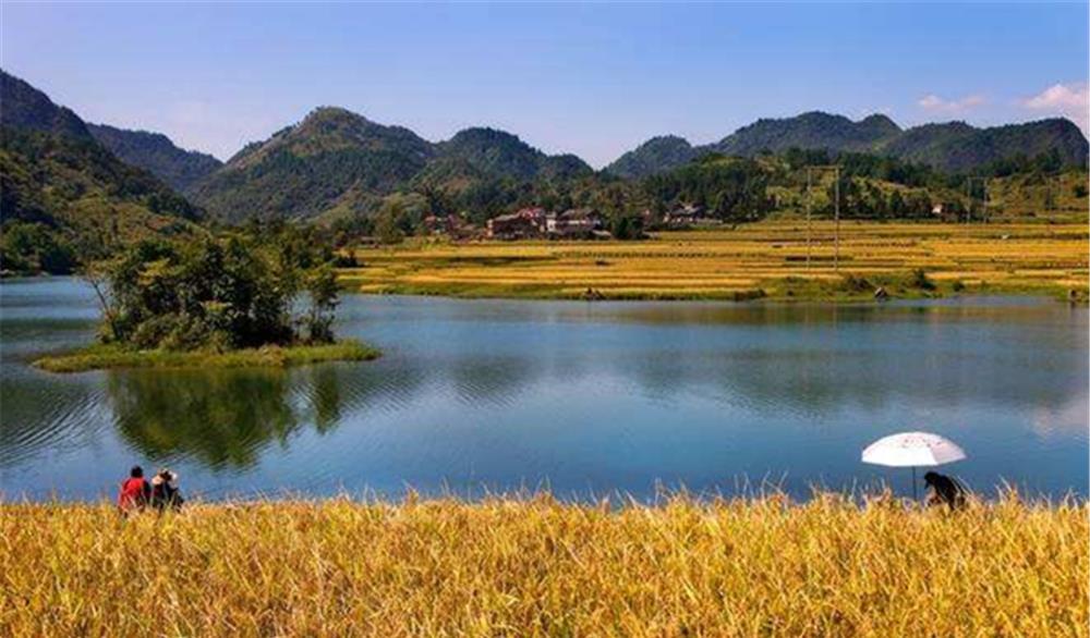 芒种|小满鱼漫塘、芒种鱼忙碌，小满到芒种，钓鱼注意换招数