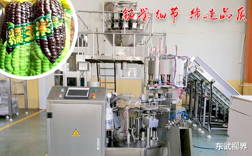 真空包装机价位,高和低,是由哪些因素所决定的?