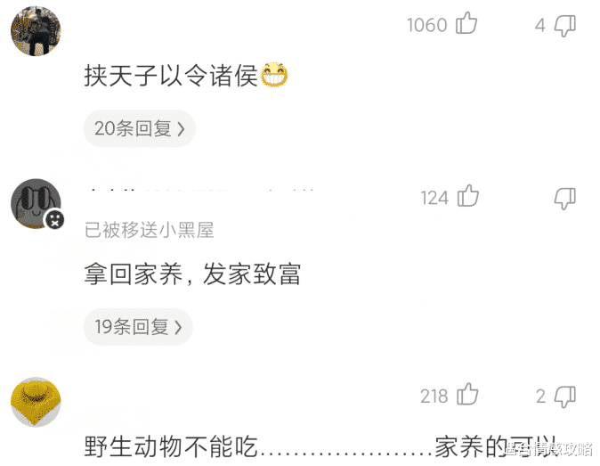 遇合情感攻略|“一千一次的按摩十分钟就结束了，你说值不值？反正我是觉得太贵了！”哈哈哈